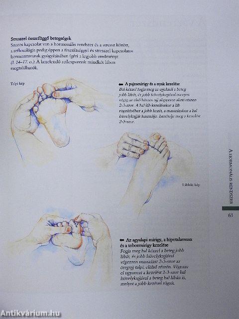 Reflexológia lépésről lépésre