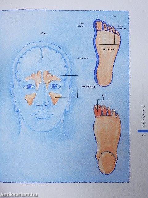 Reflexológia lépésről lépésre