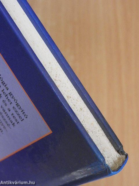 Reflexológia lépésről lépésre