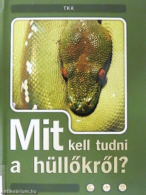 Mit kell tudni a hüllőkről?