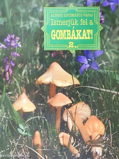 Ismerjük fel a gombákat! 2.