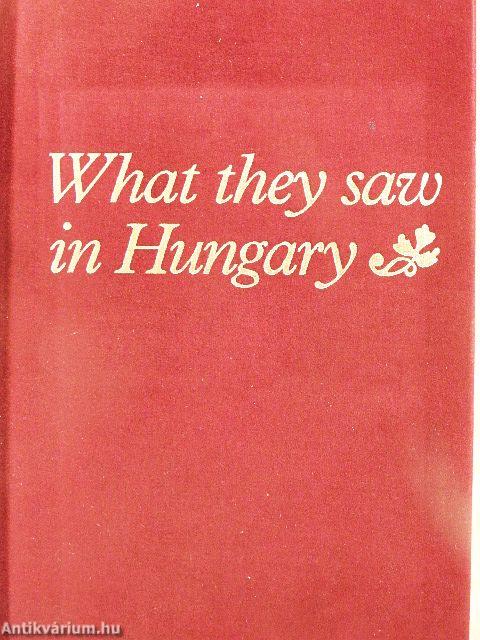 What they saw in Hungary
