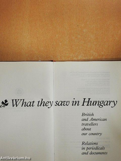 What they saw in Hungary