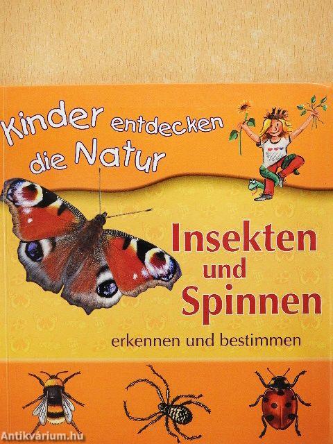 Insekten und Spinnen
