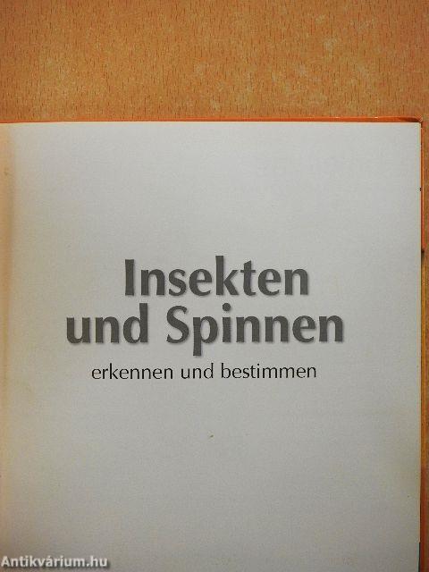 Insekten und Spinnen