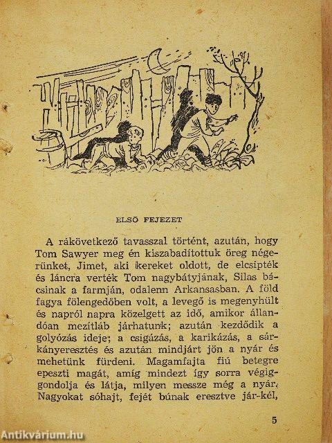 Tom Sawyer mint detektív/Tom Sawyer léghajón