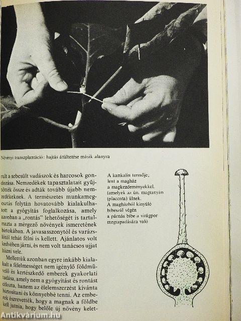 Rejtelmes-e a növényi élet?