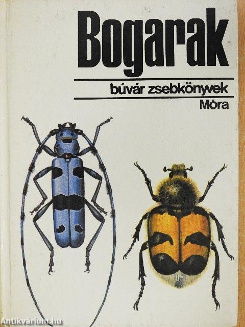 Bogarak