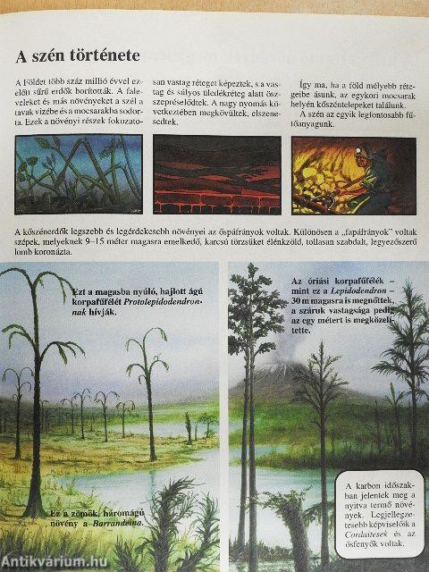 Az ősvilág története gyermekeknek
