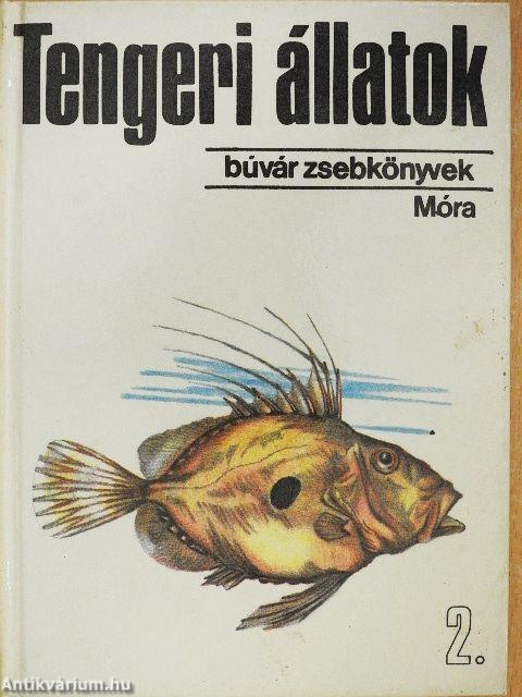 Tengeri állatok 2.