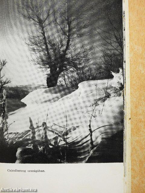 Tündérszép tájakon