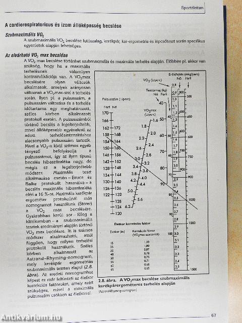 A sportorvoslás alapjai