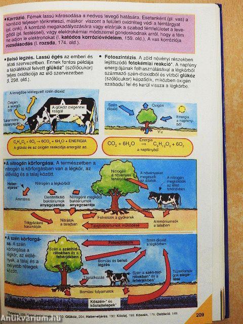 Képes Usborne enciklopédia