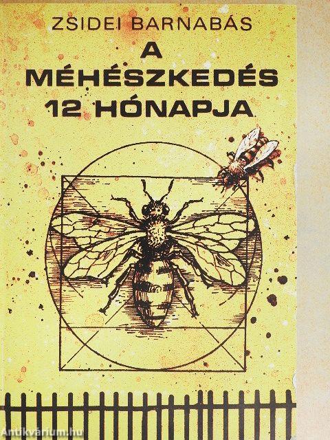 A méhészkedés 12 hónapja