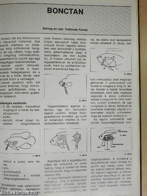 Akvárium Magazin 1993/1-12.
