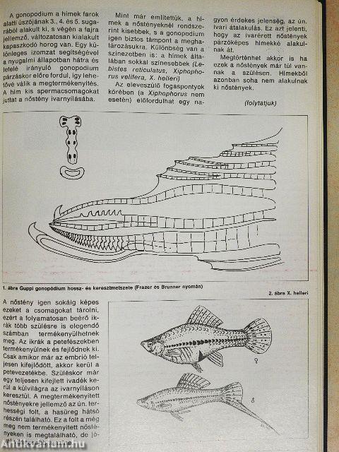 Akvárium Magazin 1993/1-12.