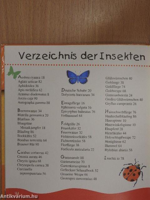 Insekten und Spinnen