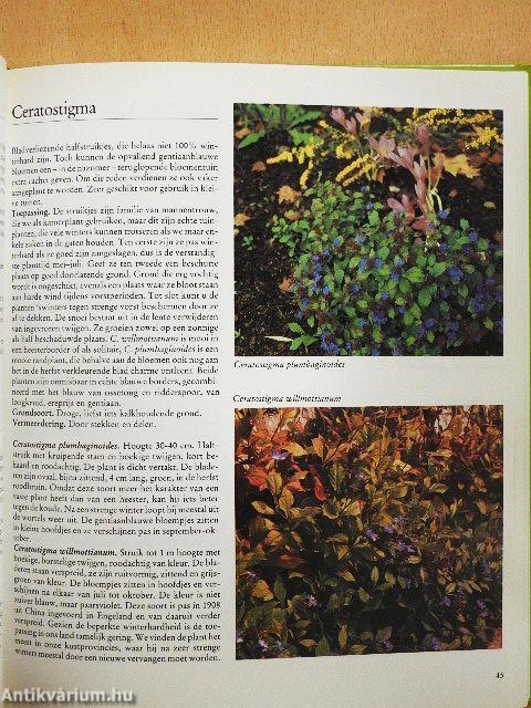 350 bomen, heesters en coniferen en hun toepassing