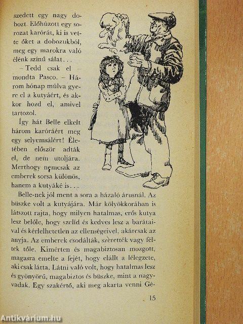 Belle és Sébastien