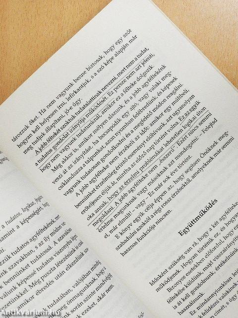 Ki az úr a háznál?