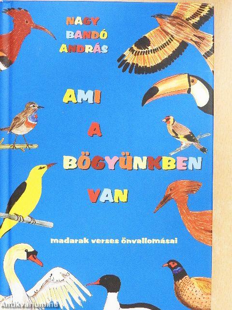 Ami a bögyünkben van