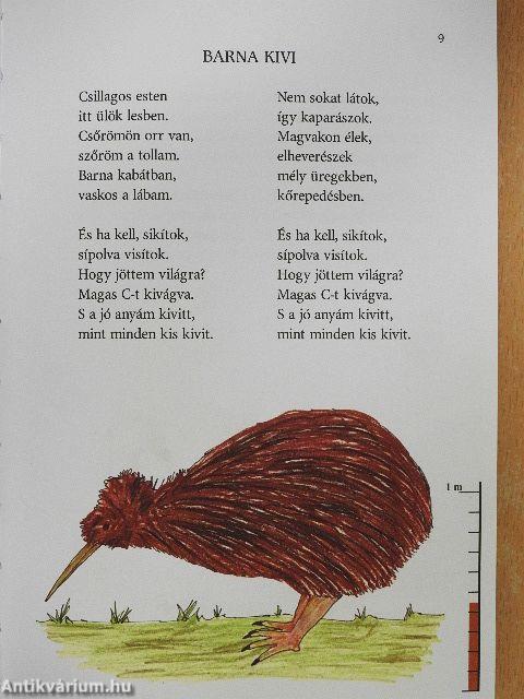 Ami a bögyünkben van