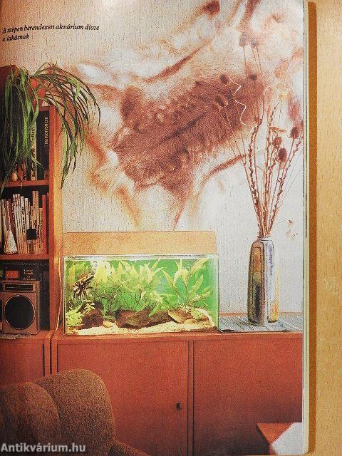 Kisállatok a lakásban