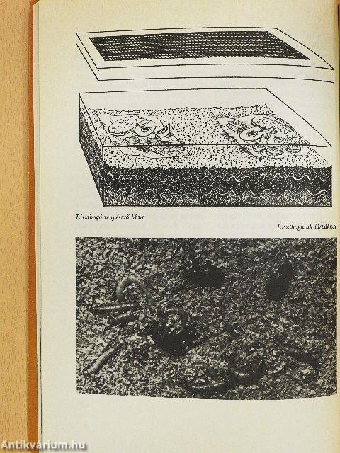 Kisállatok a lakásban