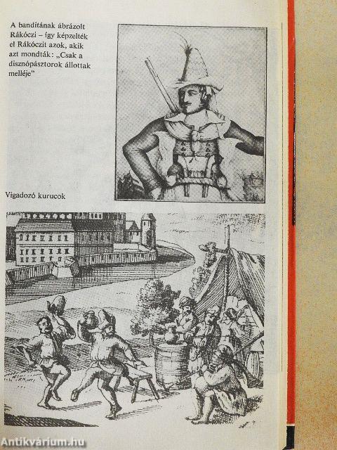 A nagyságos fejedelem