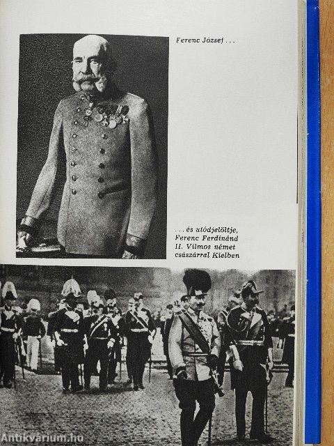 Szarajevótól a háborúig