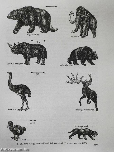 A Föld és az élet fejlődése