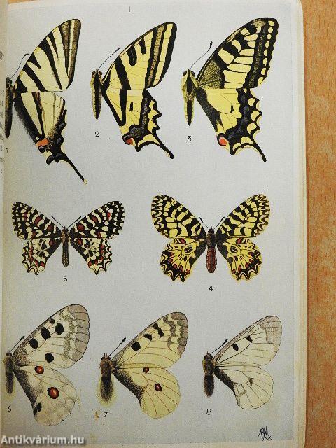 Atlas des Lépidoptéres de France I.