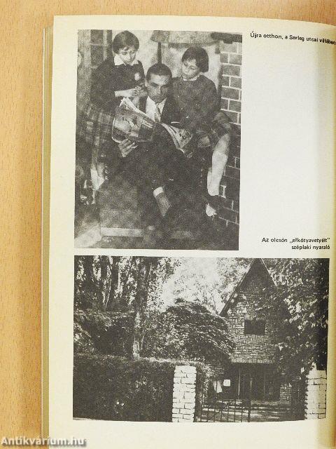 A Grosics-villa titka