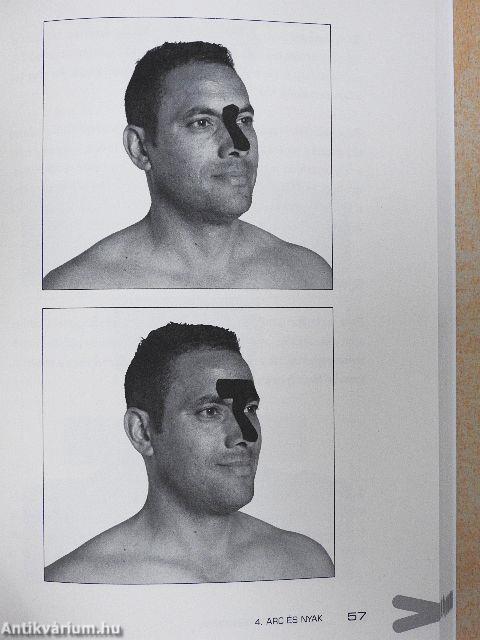 A tapaszolás kézikönyve