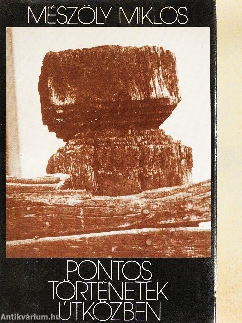 Pontos történetek útközben