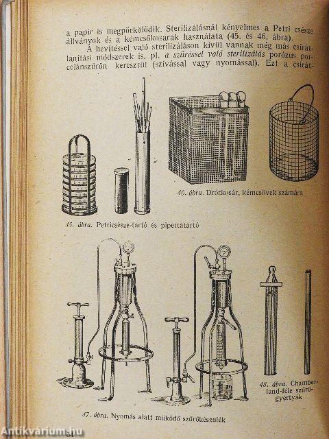 Mikrobiológiai gyakorlatok