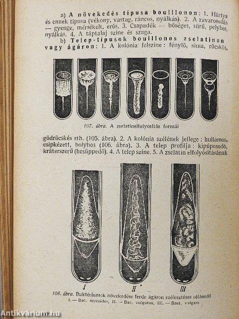 Mikrobiológiai gyakorlatok