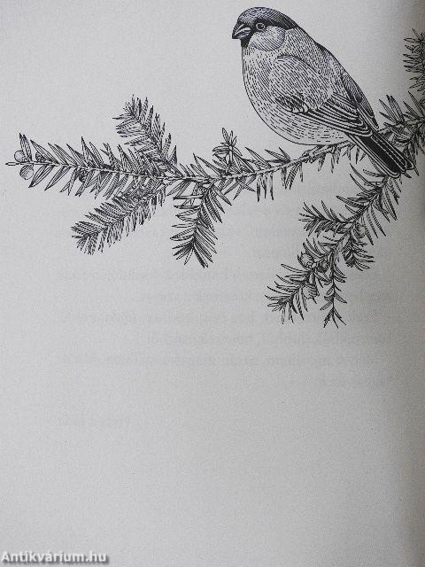 Könnyeidből színes tollak