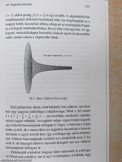 A végtelen rövid története