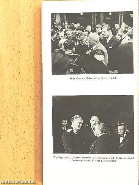 Szülőföldem, Budapest