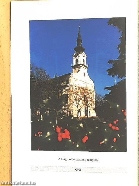 Csongrád a vizek és parkok városa