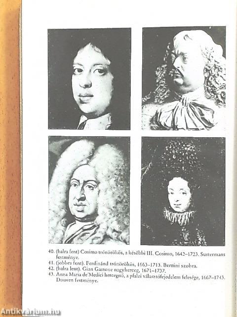 A Medici-ház tündöklése és bukása