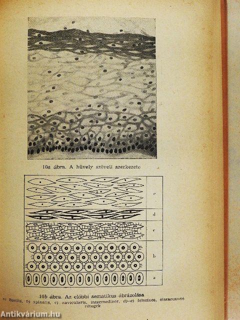 A nő vérzésrendellenességei és azok gyógykezelése