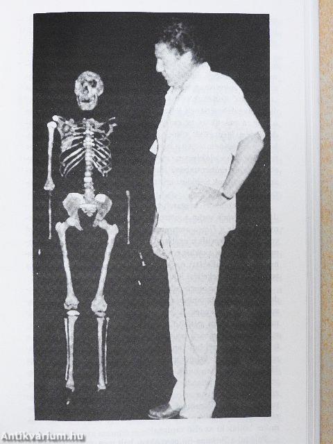 Az emberiség eredete