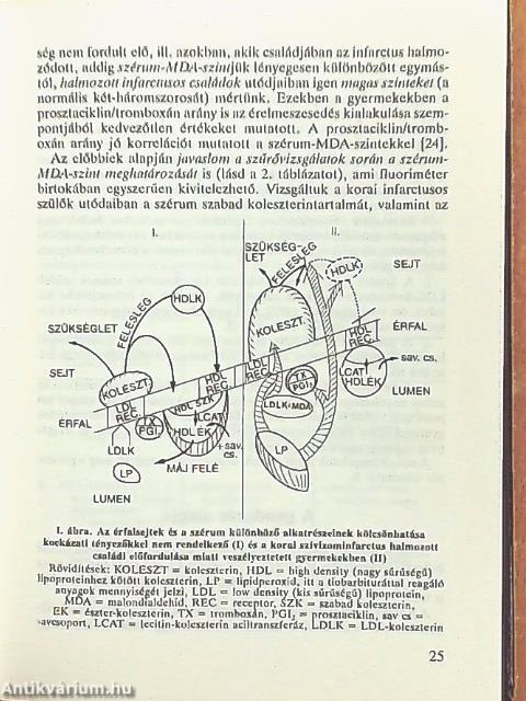 Felnőttkori kóros állapotok megelőzése gyermekkorban
