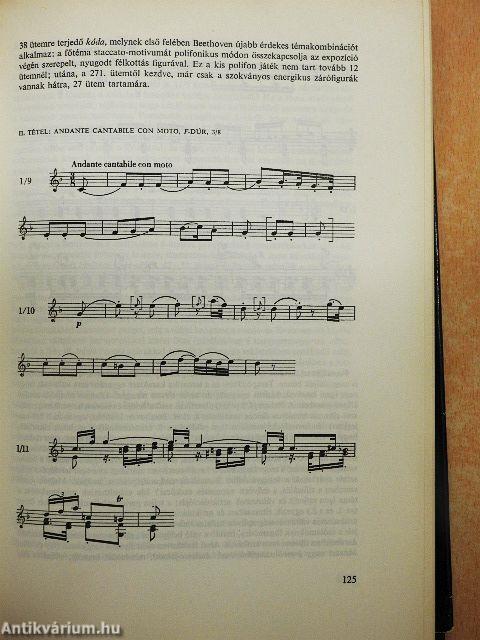 Beethoven és kilenc szimfóniája