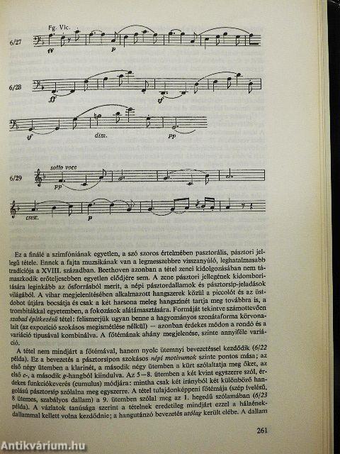 Beethoven és kilenc szimfóniája