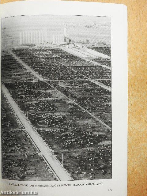 Általános társadalomföldrajz