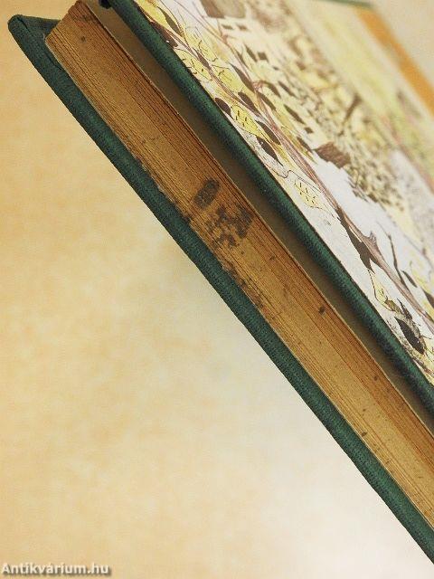 Kapd el a tolvajt, és tartsd a szád!