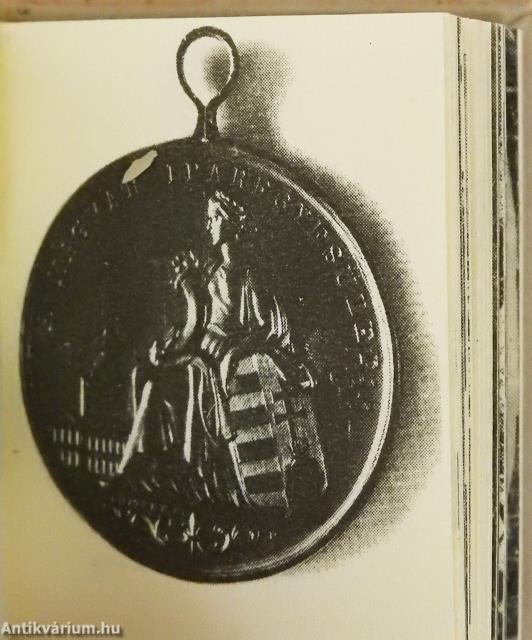 Diósgyőri Papírgyár (minikönyv) (számozott) - Plakettel